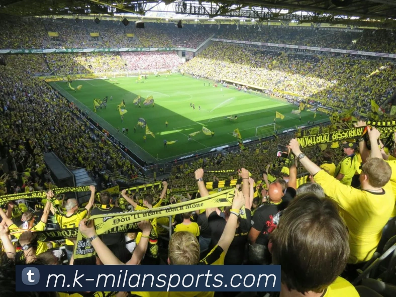 米兰体育全站App